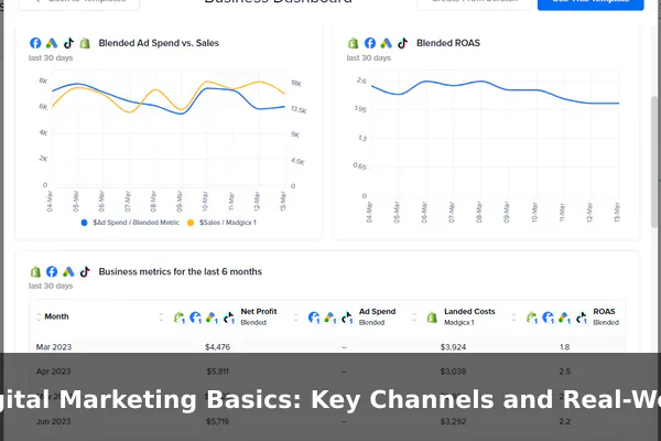 Digital Marketing Basics: Key Channels and Real-World Examples