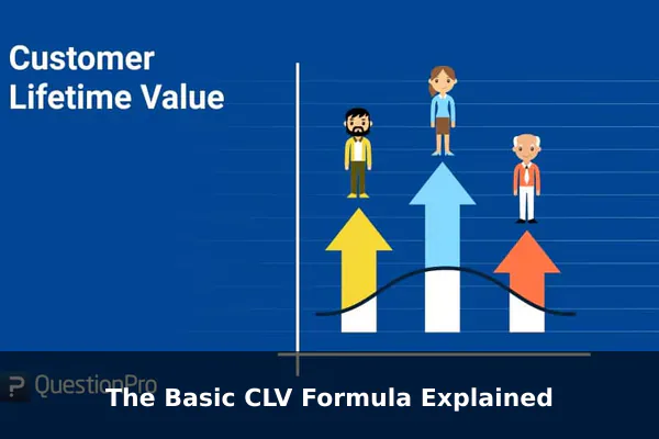 The Basic CLV Formula Explained