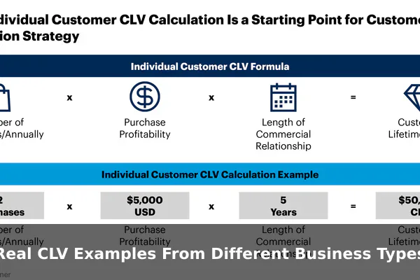 Real CLV Examples From Different Business Types