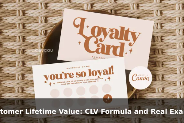 Customer Lifetime Value: CLV Formula and Real Examples
