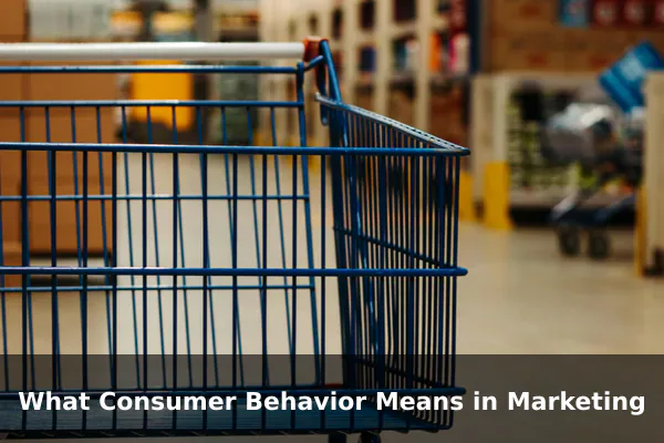 What Consumer Behavior Means in Marketing