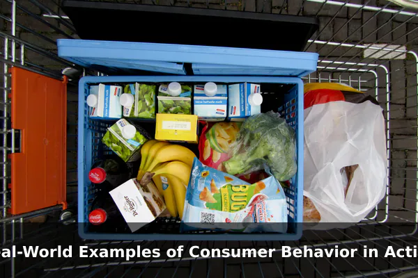 Real-World Examples of Consumer Behavior in Action