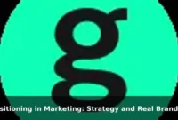 Positioning in Marketing: Strategy and Real Brand Examples Positioning in Marketing: Strategy and Real Brand Examples