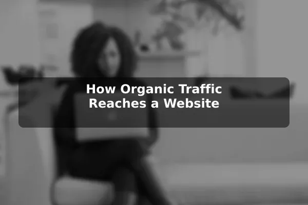 How Organic Traffic Reaches a Website